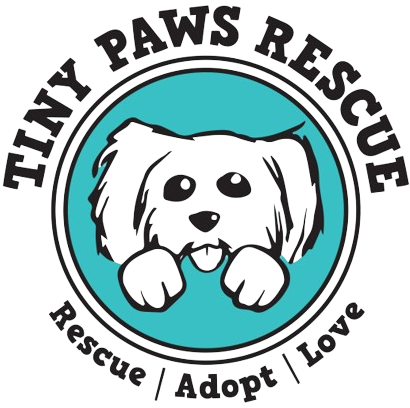 tiny Paws Rescue